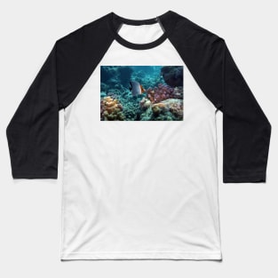 angel fish Baseball T-Shirt